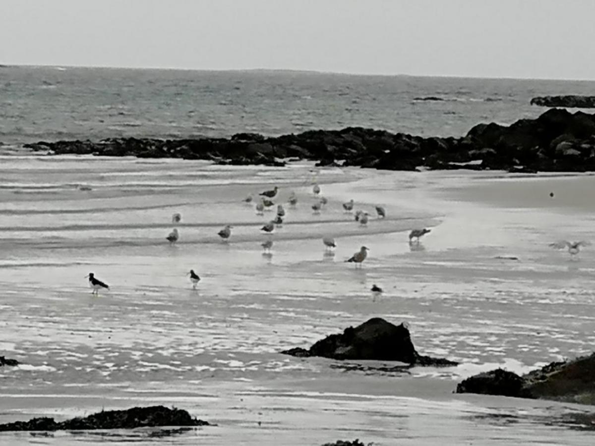 The Fisherman'S Snug Self Catering North Uist Paible Екстериор снимка