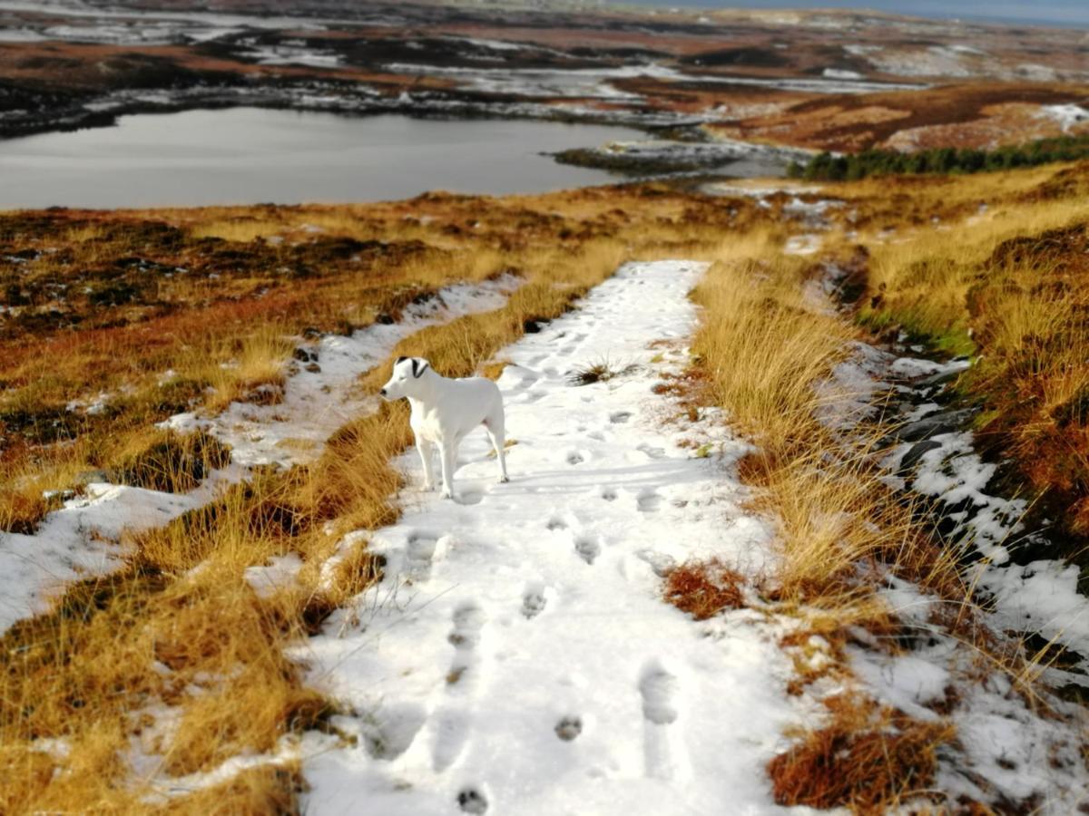 The Fisherman'S Snug Self Catering North Uist Paible Екстериор снимка