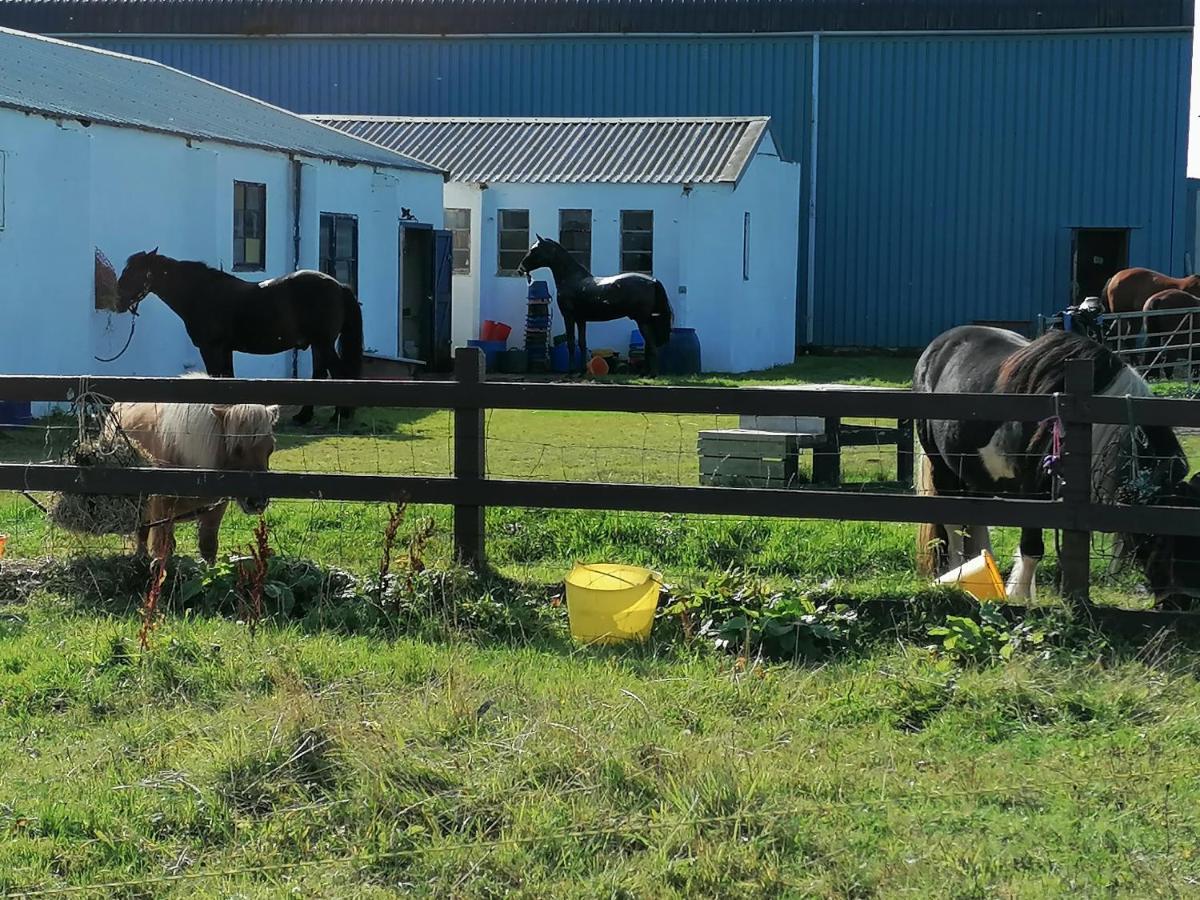 The Fisherman'S Snug Self Catering North Uist Paible Екстериор снимка