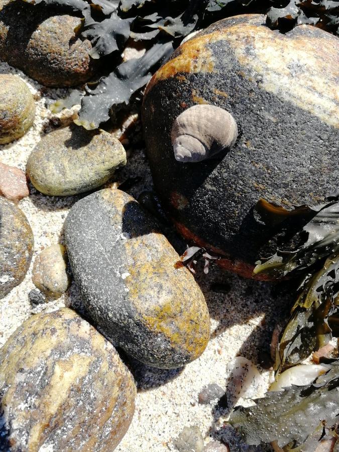 The Fisherman'S Snug Self Catering North Uist Paible Екстериор снимка