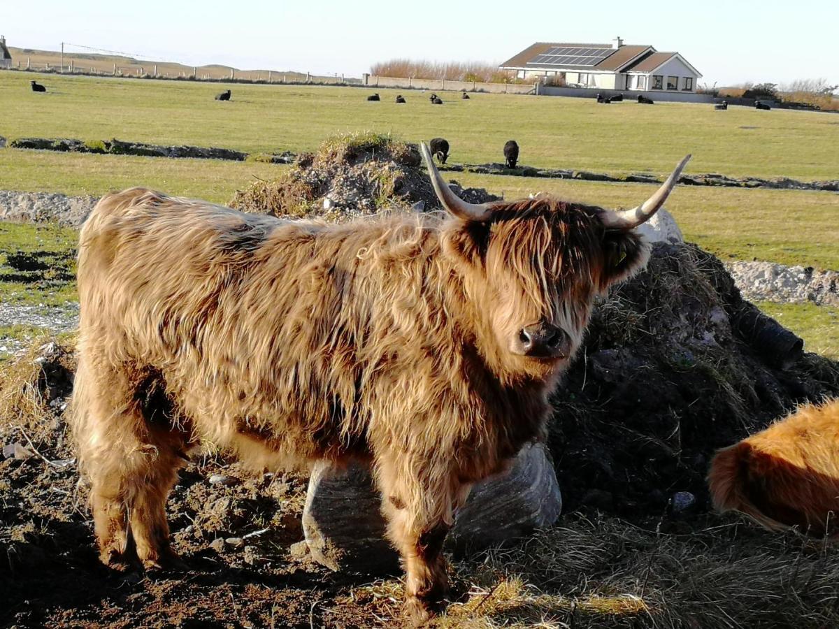 The Fisherman'S Snug Self Catering North Uist Paible Екстериор снимка