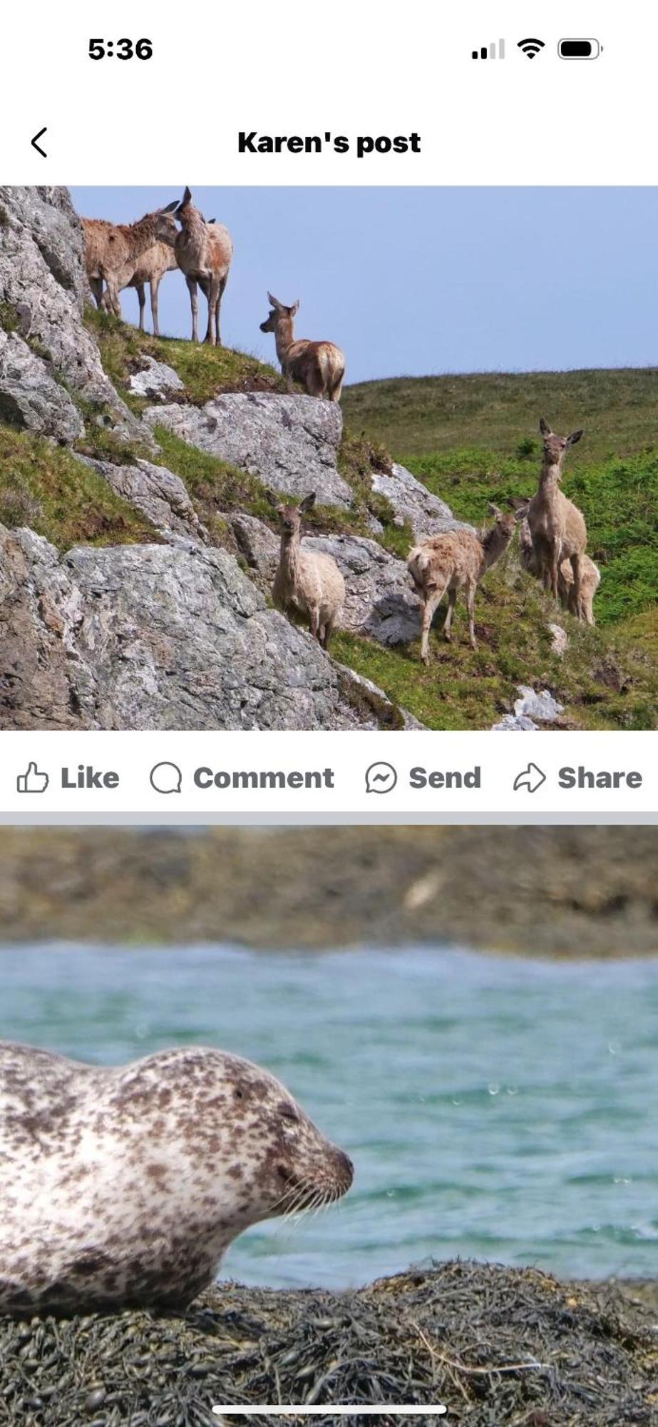 The Fisherman'S Snug Self Catering North Uist Paible Екстериор снимка